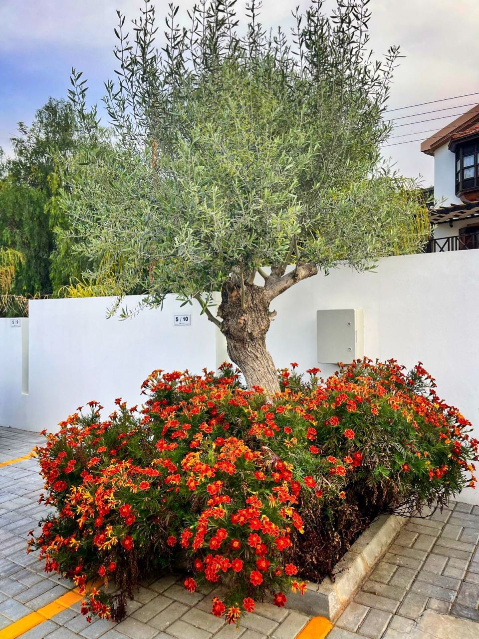 Апартаменты в Алсанджаке, Кипр, 99 м² - фото 18