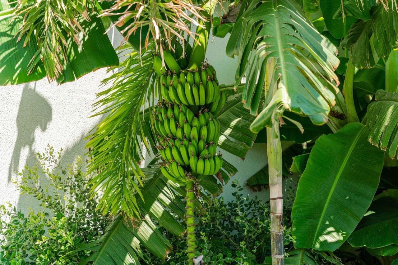 Апартаменты в Кирении, Кипр, 47.8 м² - фото 18