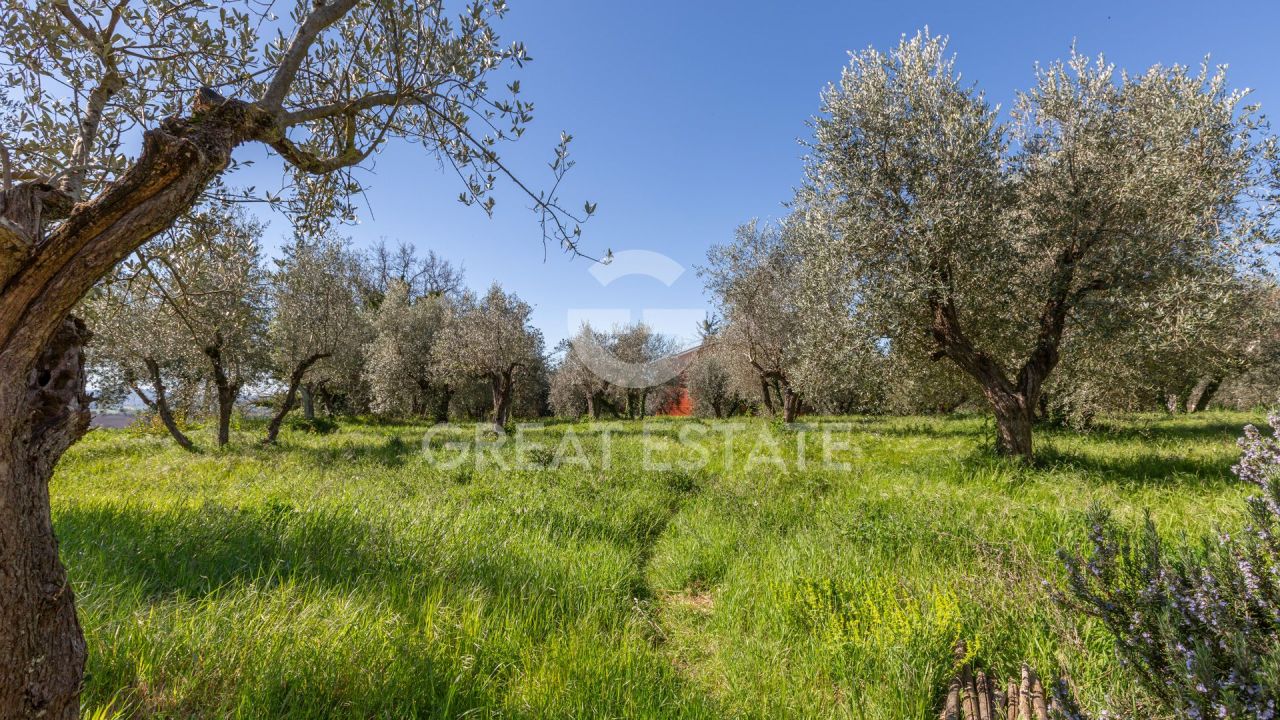 Дом Avigliano Umbro, Италия, 258.05 м² - фото 6