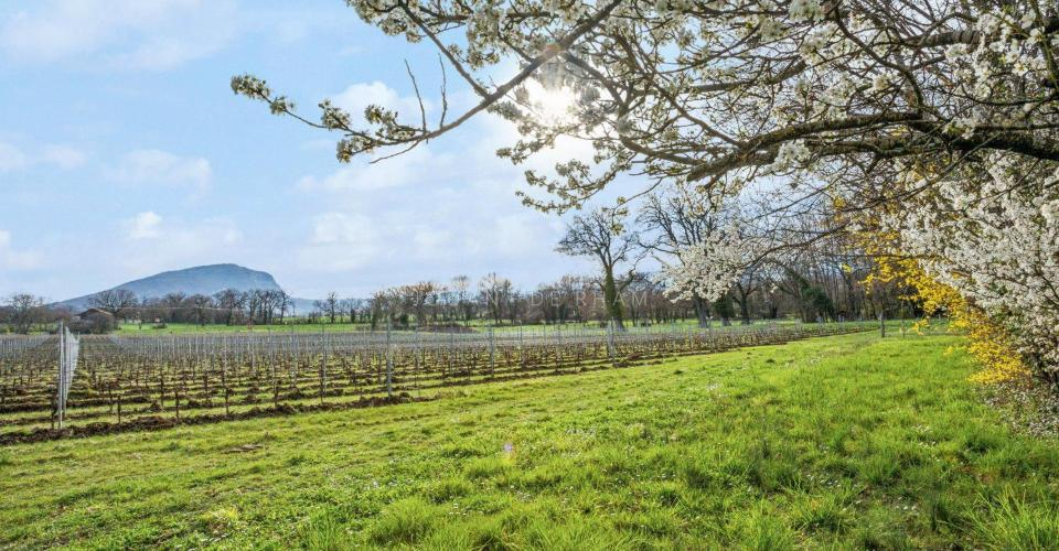 Квартира в Женеве, Швейцария, 400 м² - фото 2