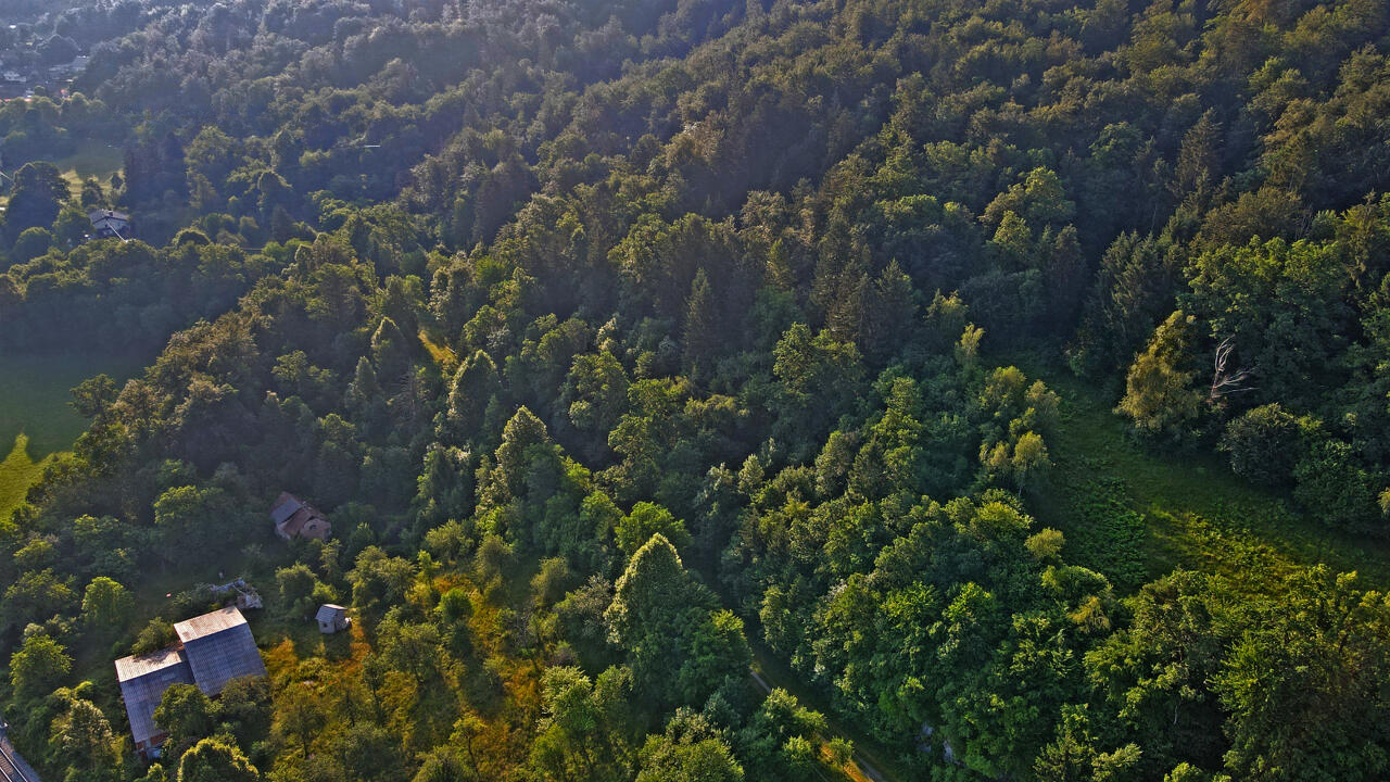 Ферма в Любляне, Словения, 186 696 м² - фото 4