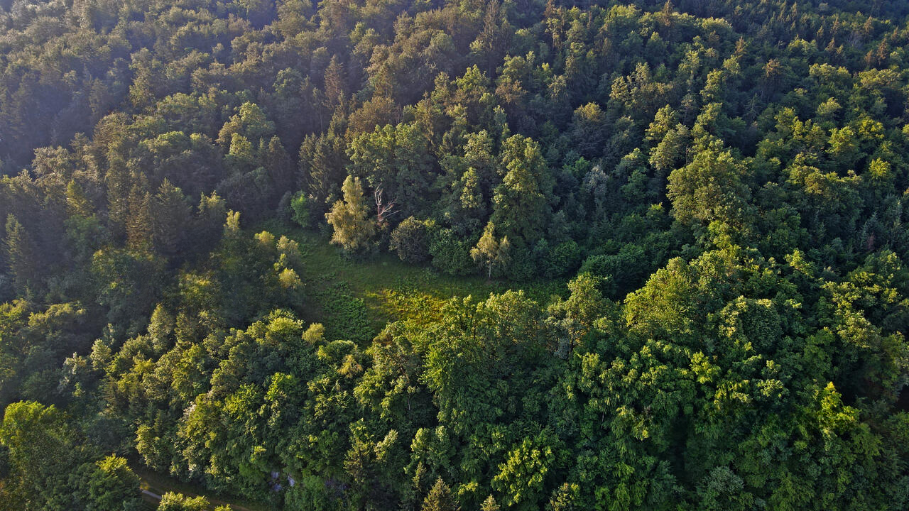 Ферма в Любляне, Словения, 186 696 м² - фото 5