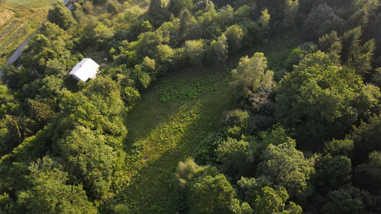 Ферма в Любляне, Словения, 186 696 м² - фото 6