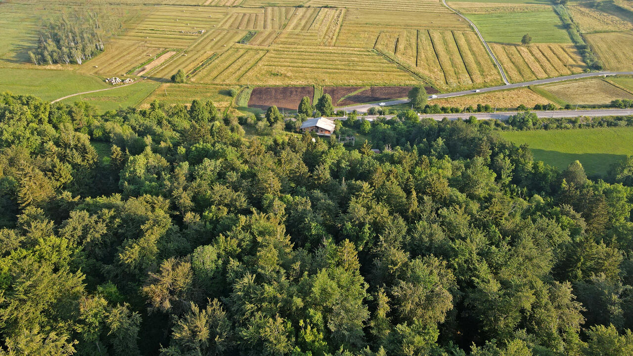 Ферма в Любляне, Словения, 186 696 м² - фото 8