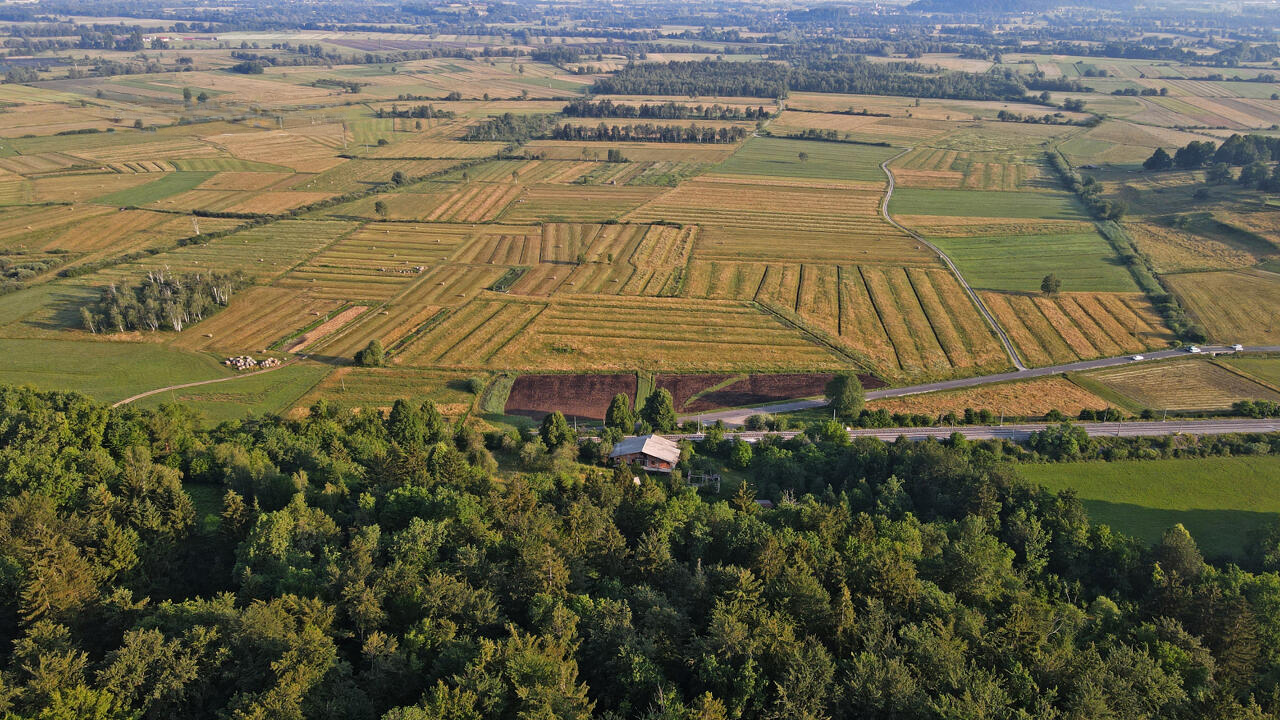 Ферма в Любляне, Словения, 186 696 м² - фото 9