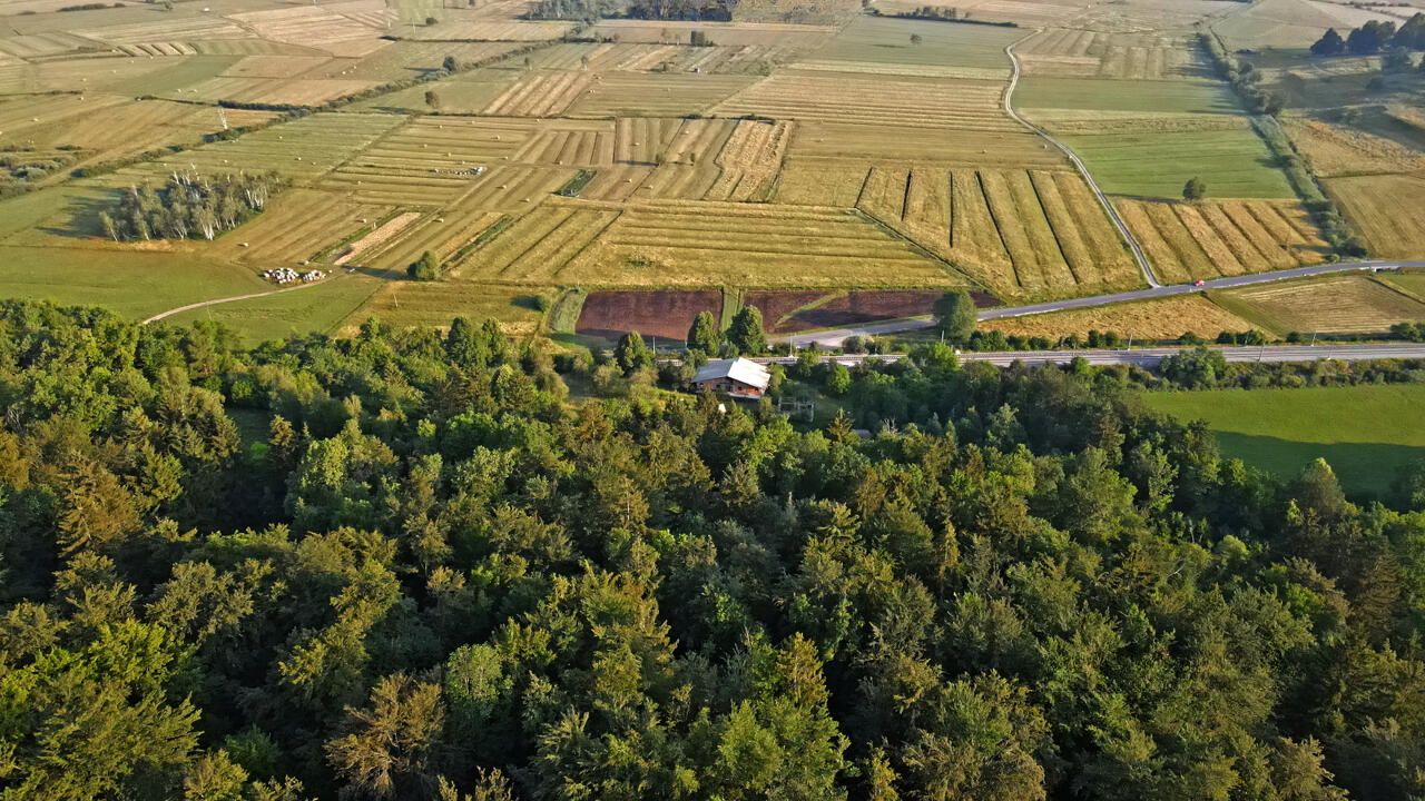 Ферма в Любляне, Словения, 186 696 м² - фото 10