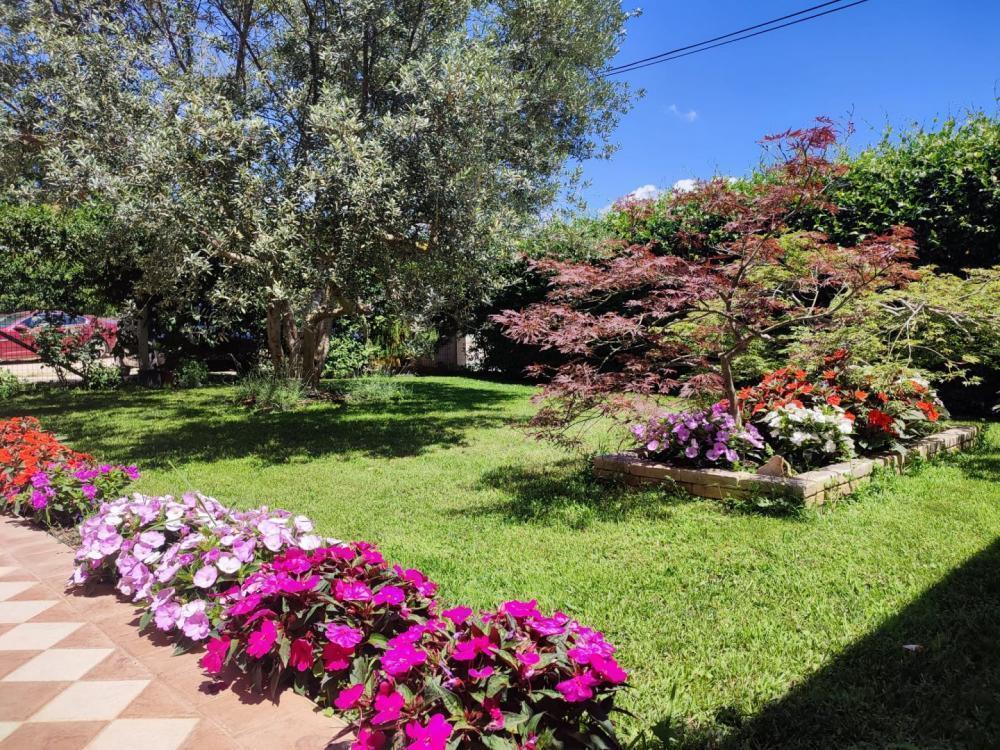 Отель, гостиница Pomer, Medulin, Хорватия, 450 м² - фото 4