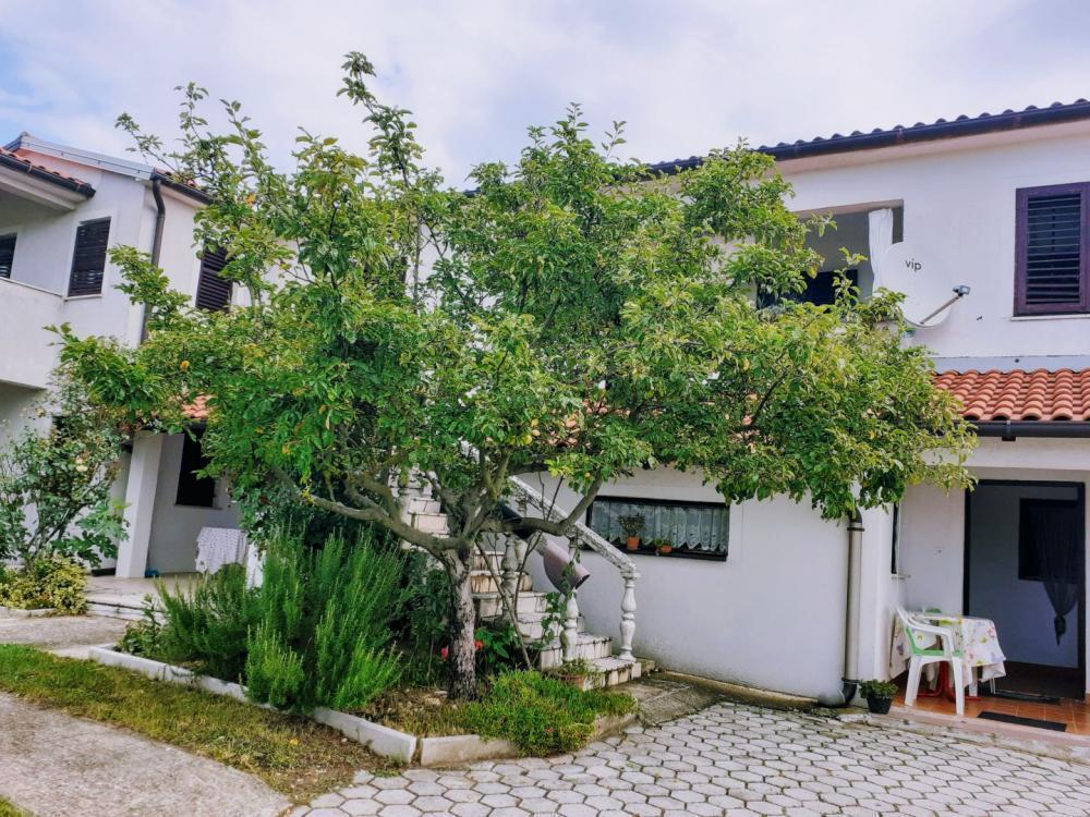 Отель, гостиница в Вижинаде, Хорватия, 357 м² - фото 5