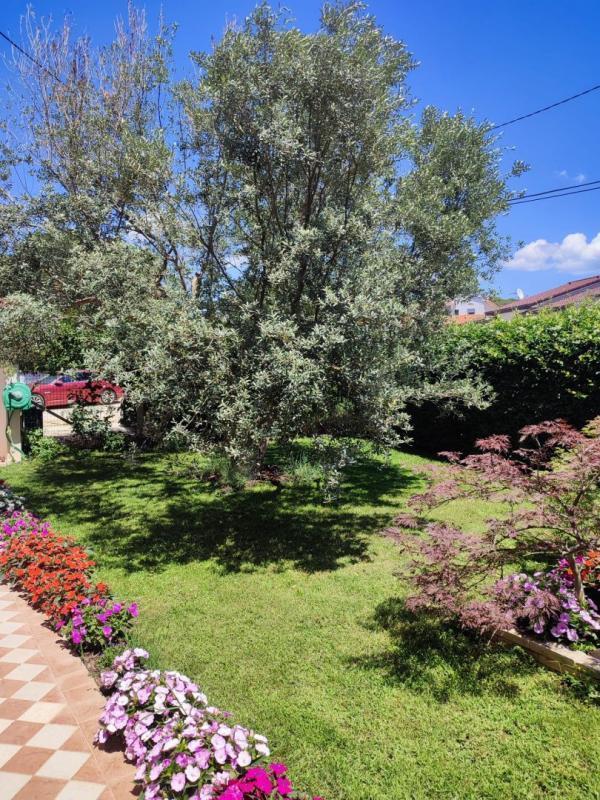 Отель, гостиница Pomer, Medulin, Хорватия, 450 м² - фото 8