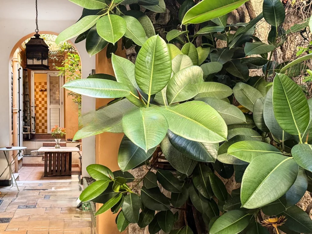 Квартира в Монако, Монако, 470 м² - фото 2