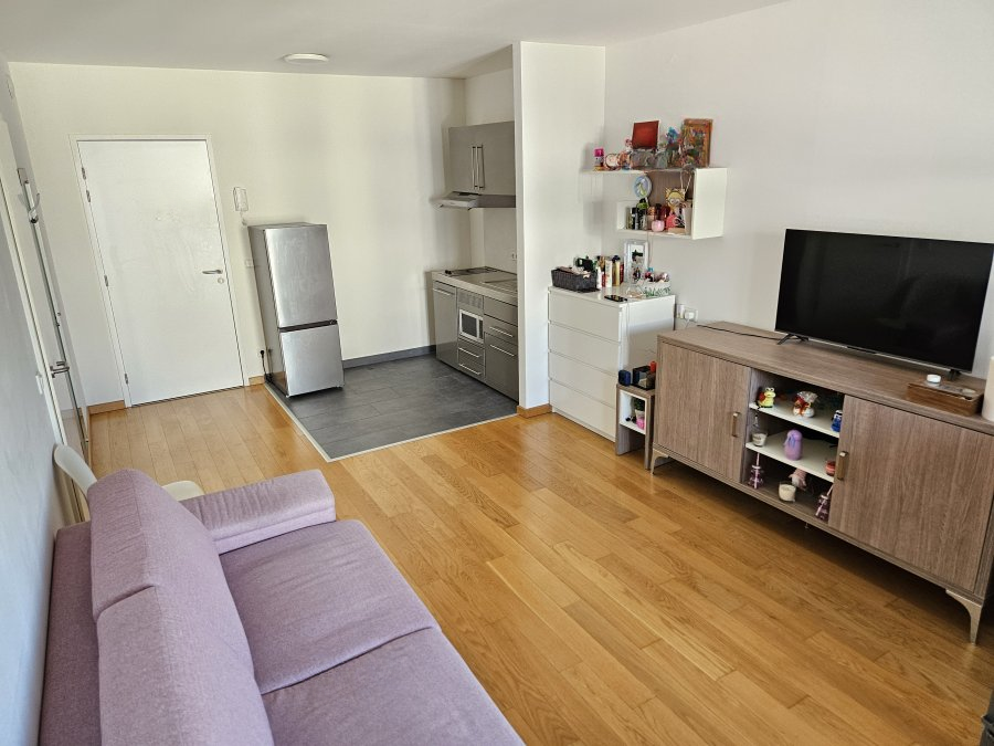 Квартира в Люксембурге, Люксембург, 46 м² - фото 3