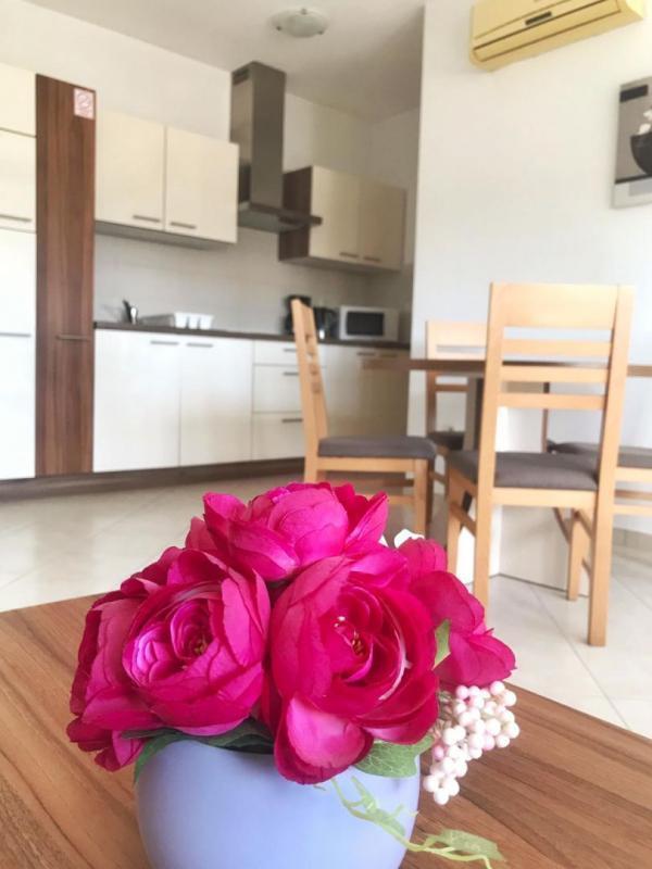 Отель, гостиница Vinkuran, Medulin, Хорватия, 504 м² - фото 12