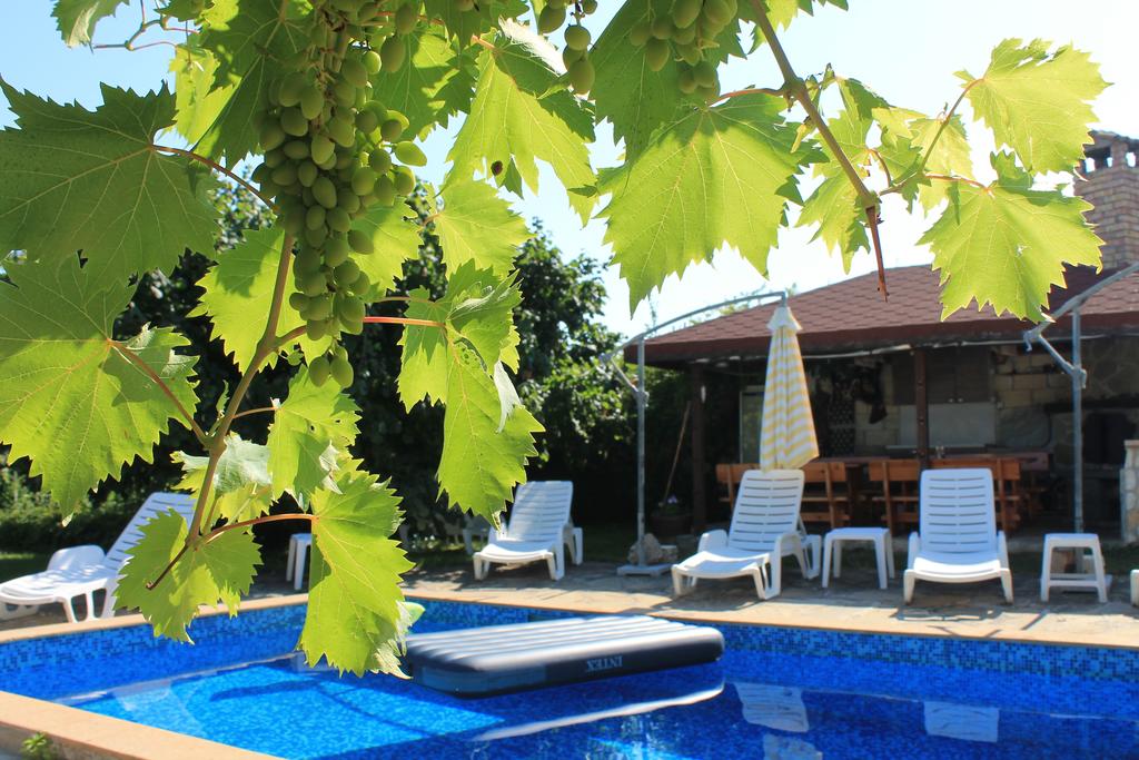 Дом в Близнаци, Болгария, 780 м² - фото 4