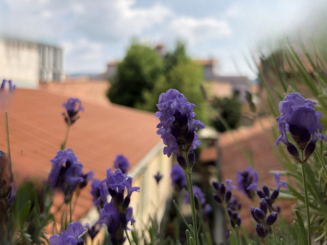 Квартира в Копере, Словения, 85 м² - фото 1