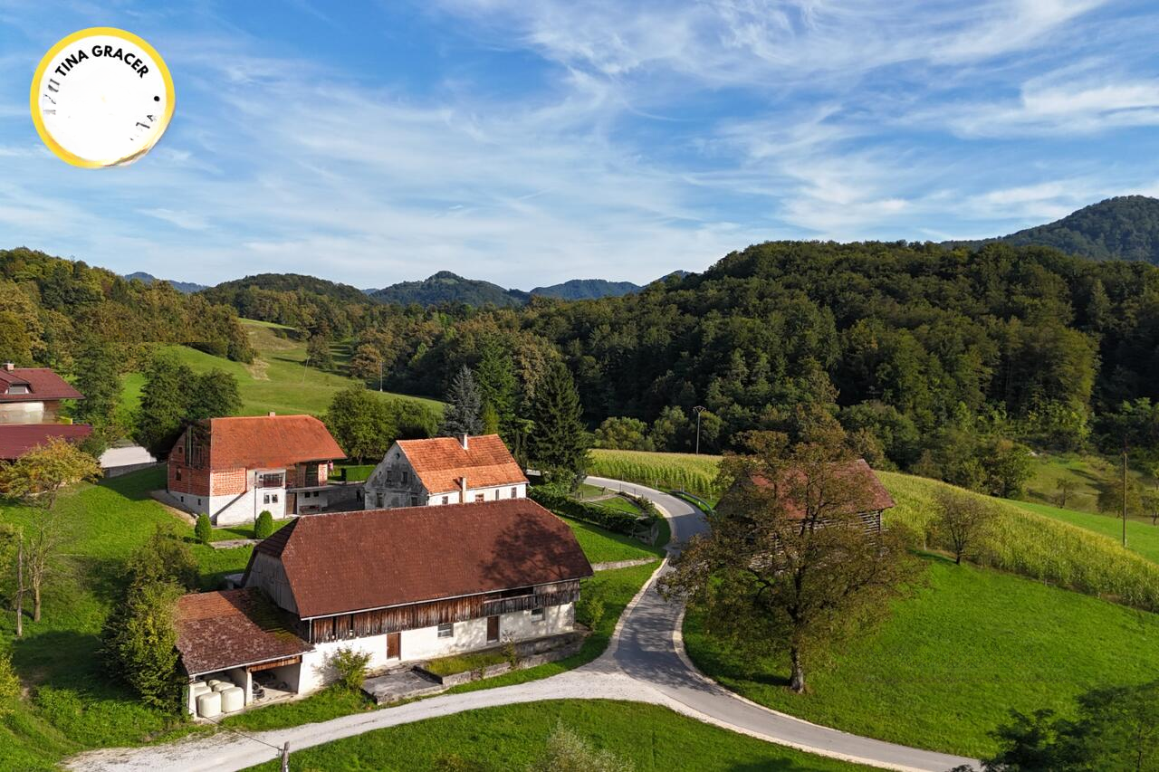 Ферма в Лашко, Словения, 130 000 м² - фото 4