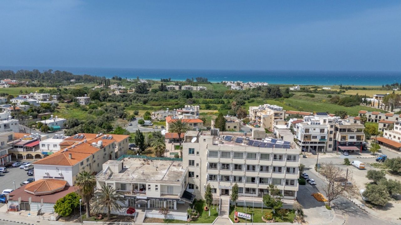 Отель, гостиница в Пафосе, Кипр, 516 м² - фото 2