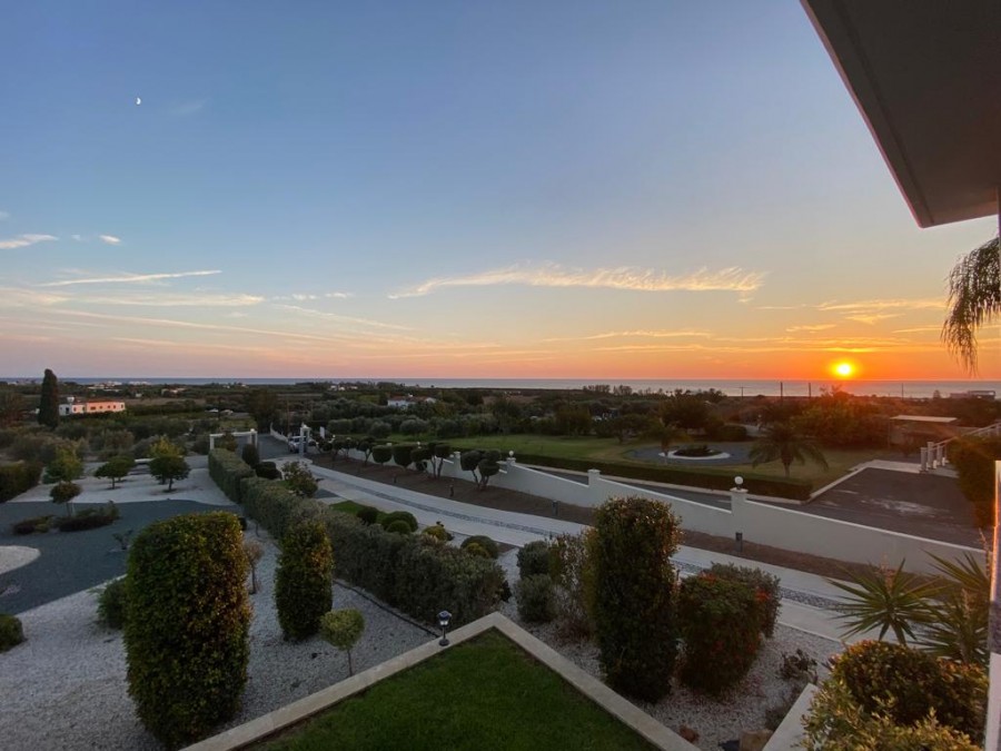 Вилла в Пафосе, Кипр, 4 039 м² - фото 16