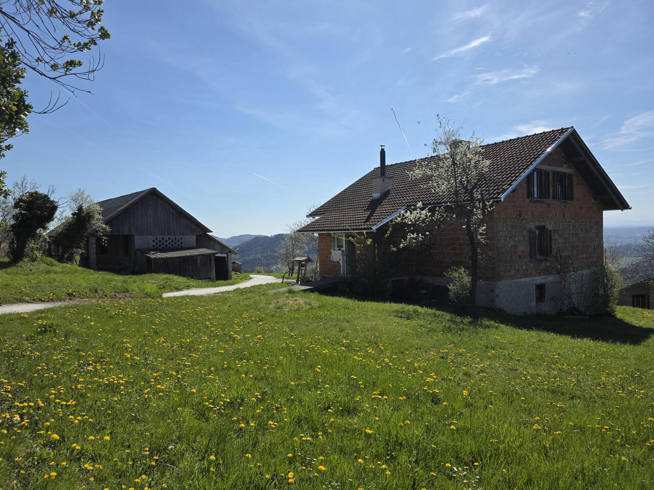 Ферма в Целе, Словения, 174 843 м² - фото 5