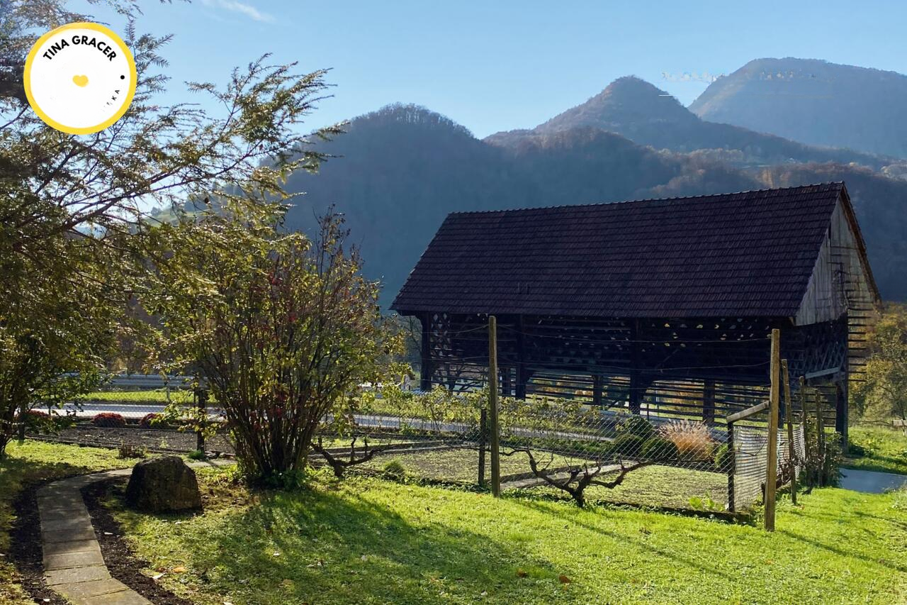 Ферма в Лашко, Словения, 130 000 м² - фото 7