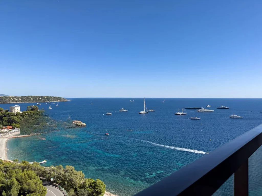 Квартира в Сен-Романе, Монако, 175 м² - фото 12