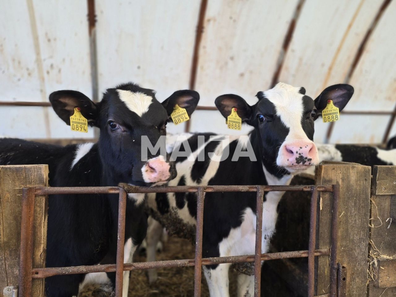 Земля в Сигулде, Латвия, 3 650 000 м² - фото 1