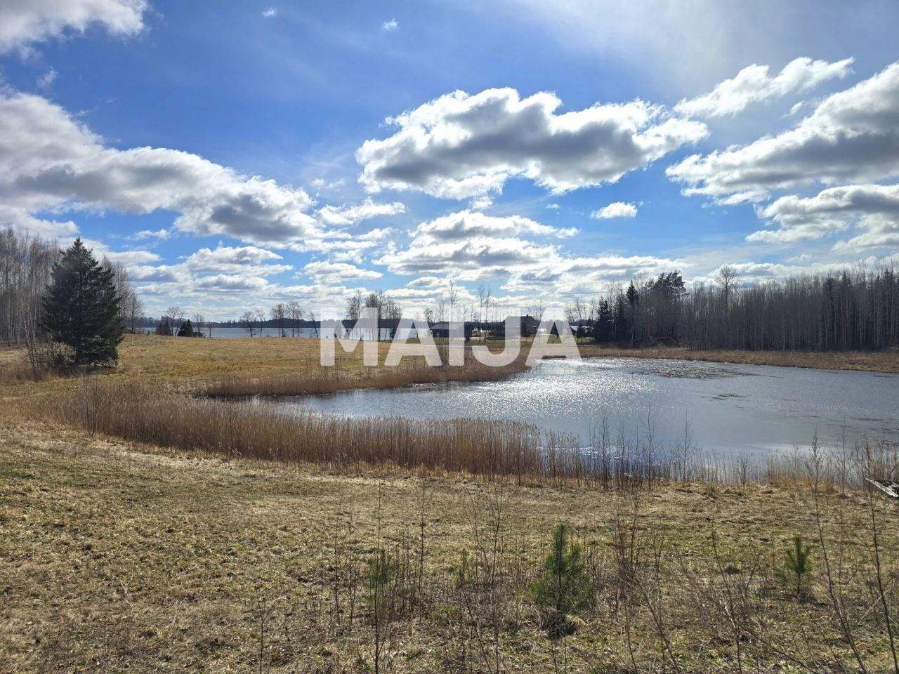 Земля Vecpiebalga, Латвия, 111 600 м² - фото 1