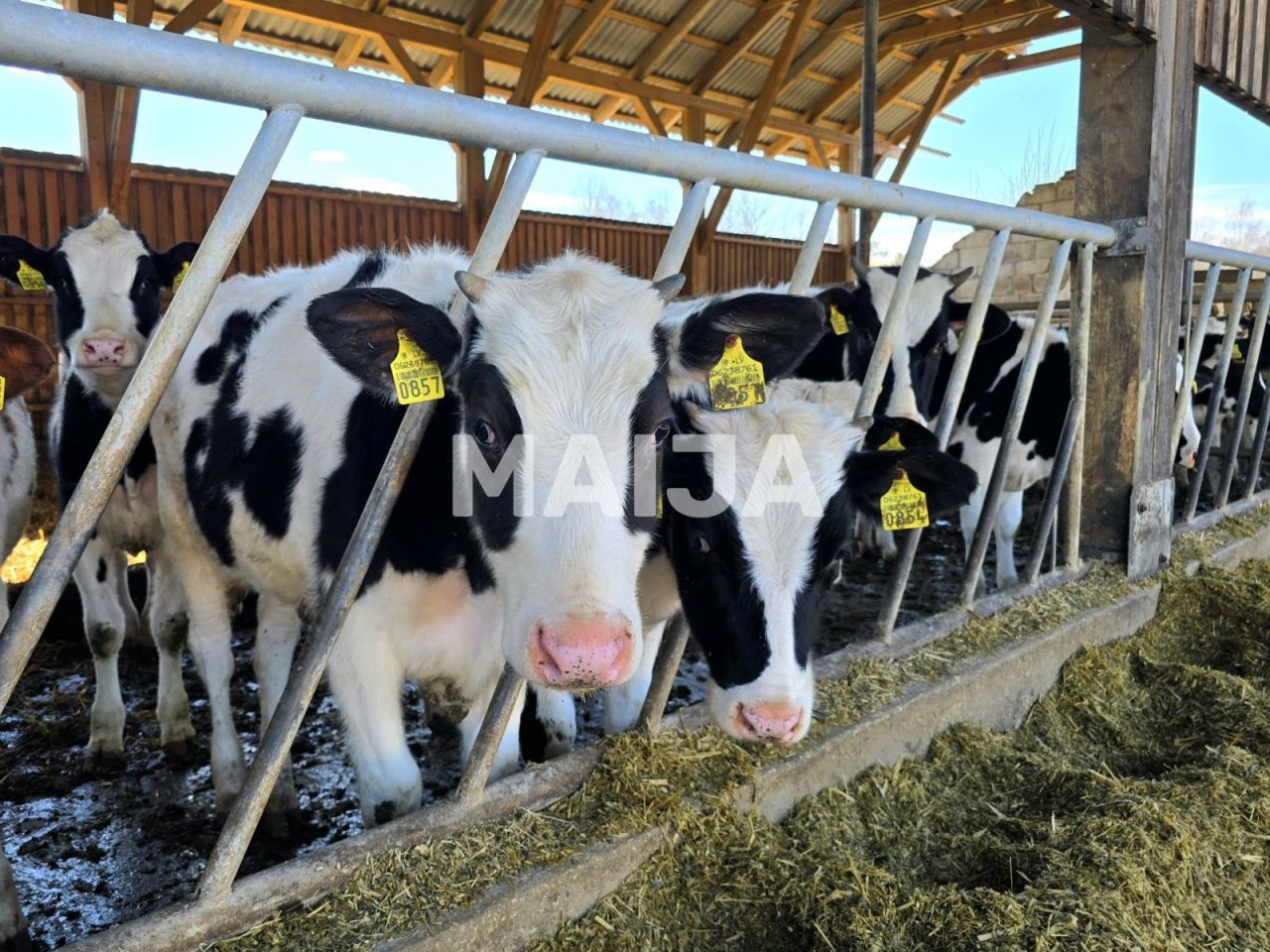 Земля в Сигулде, Латвия, 3 650 000 м² - фото 2