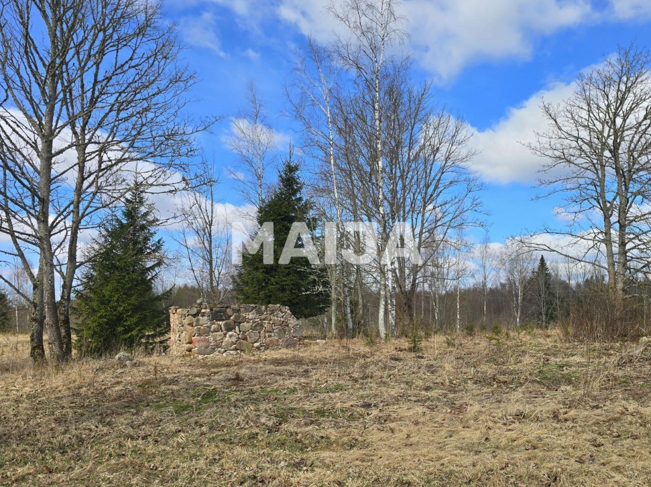 Земля Vecpiebalga, Латвия, 111 600 м² - фото 3