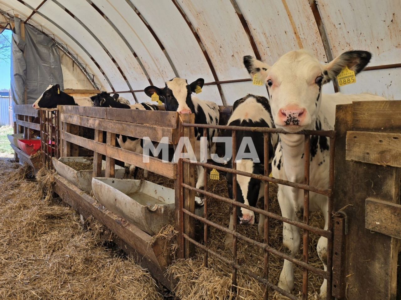 Земля в Сигулде, Латвия, 3 650 000 м² - фото 3