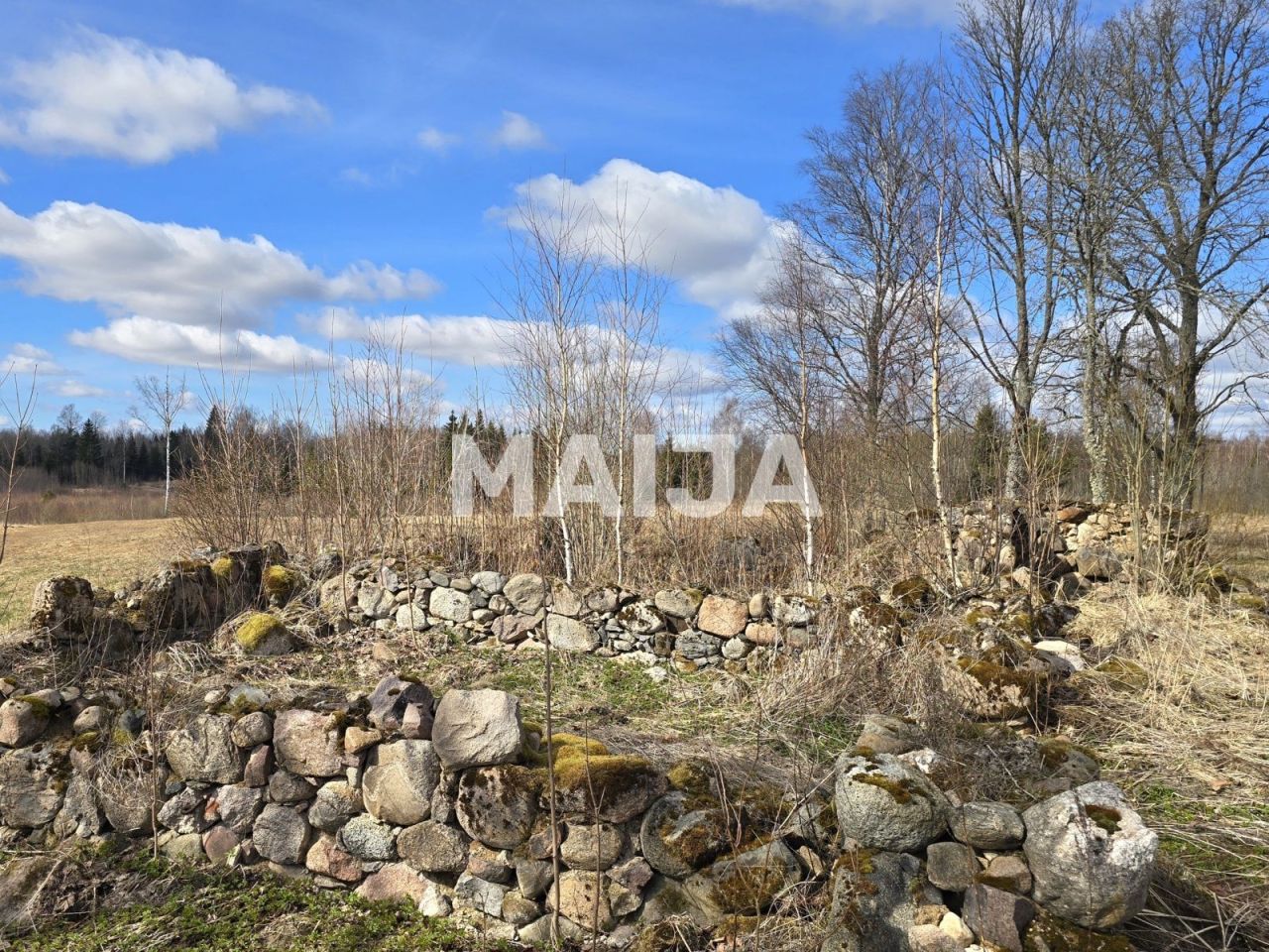 Земля Vecpiebalga, Латвия, 111 600 м² - фото 4