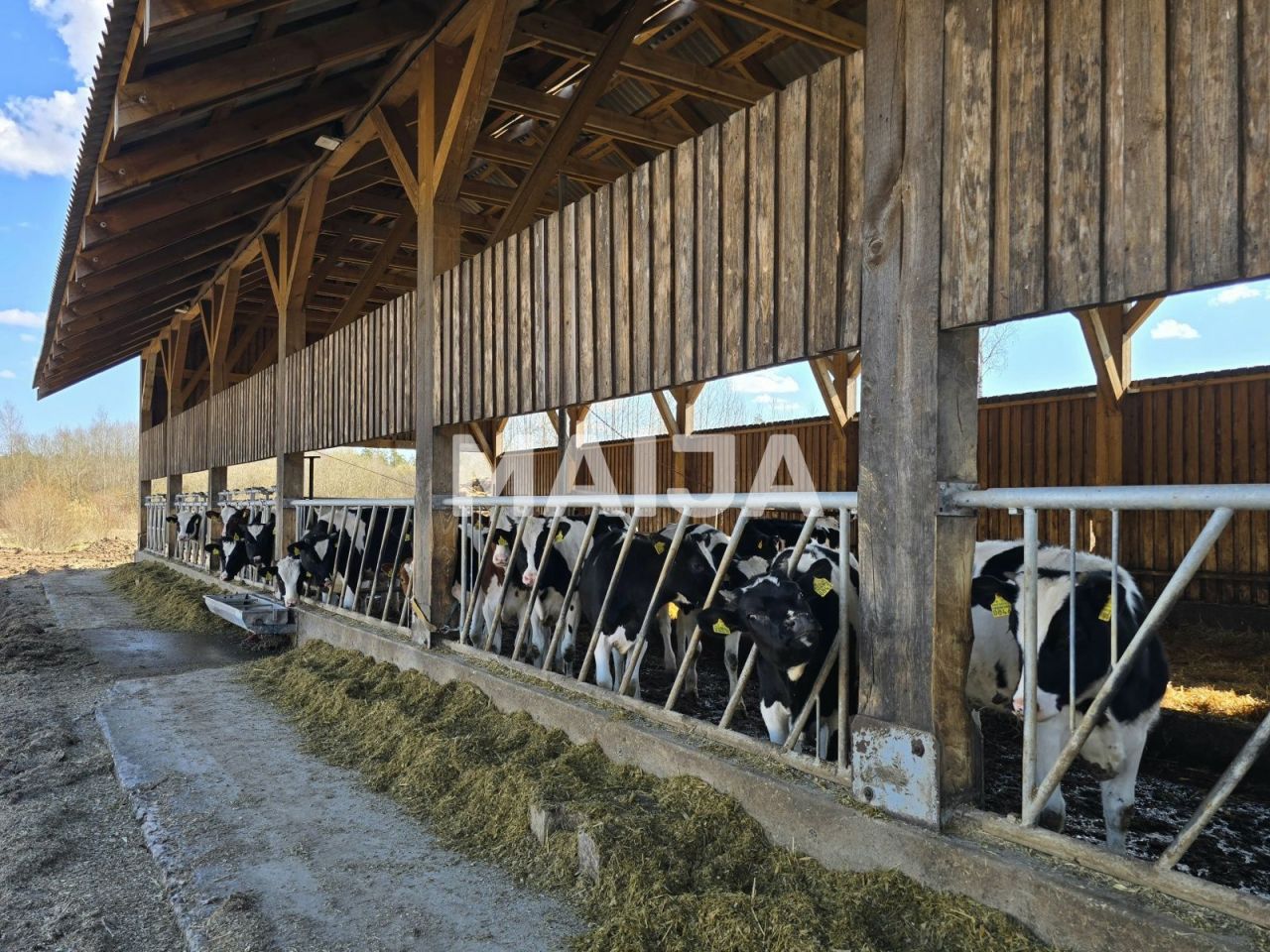 Земля в Сигулде, Латвия, 3 650 000 м² - фото 4