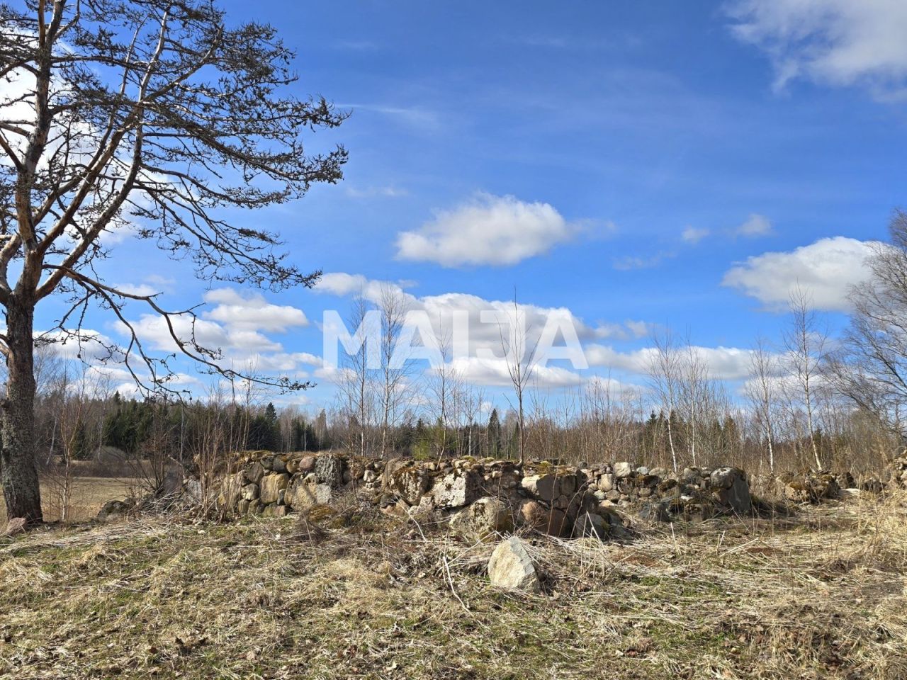 Земля Vecpiebalga, Латвия, 111 600 м² - фото 5