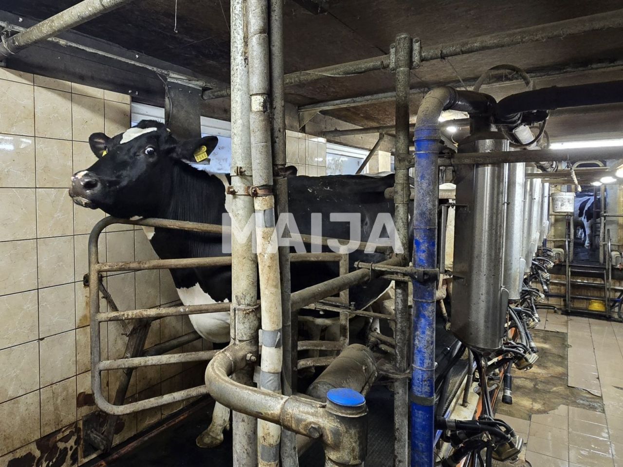 Земля в Сигулде, Латвия, 3 650 000 м² - фото 5