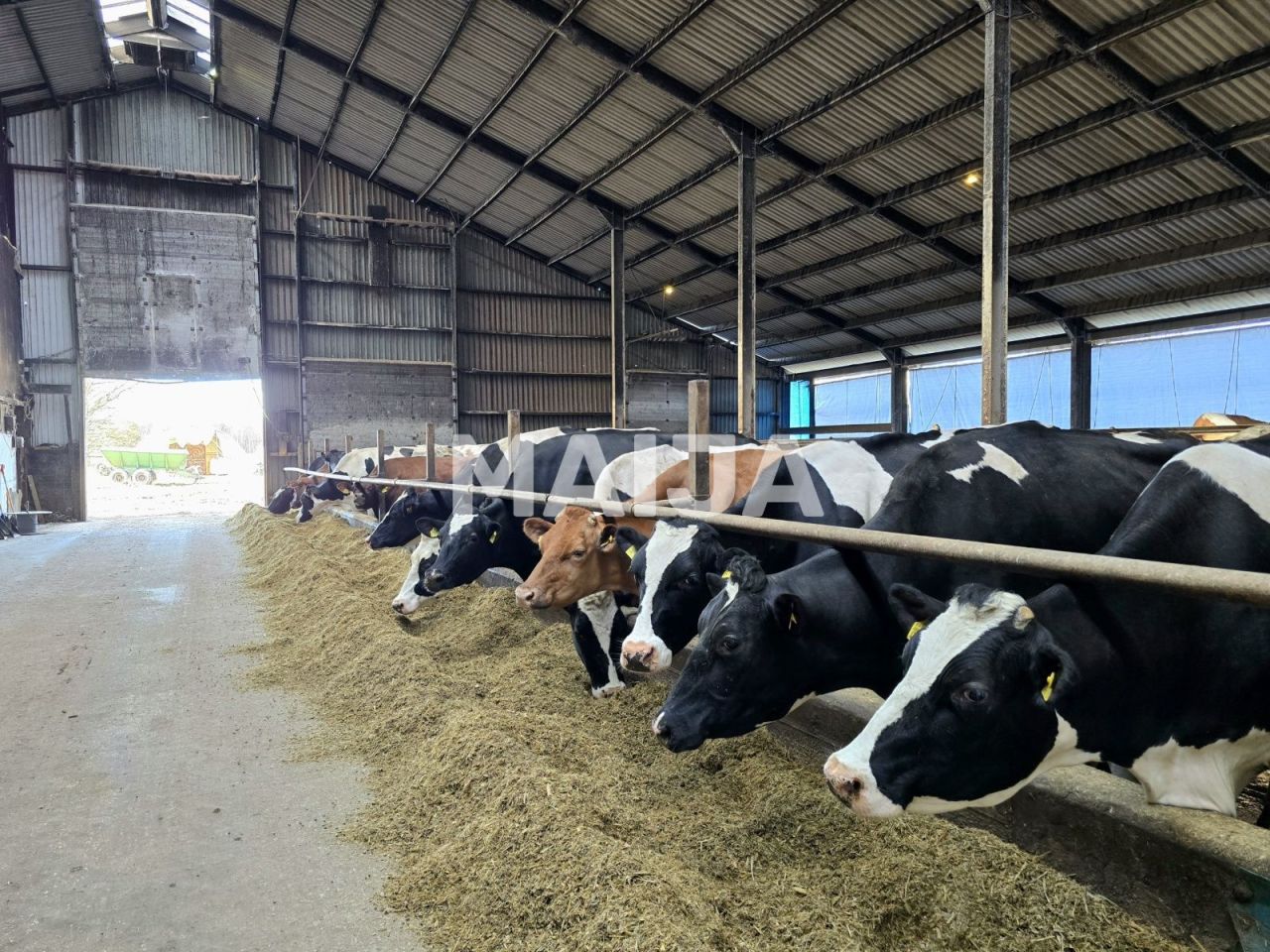 Земля в Сигулде, Латвия, 3 650 000 м² - фото 6