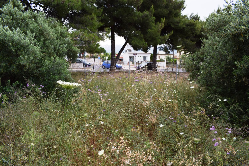 Земля в номе Ханья, Греция, 392 м² - фото 3