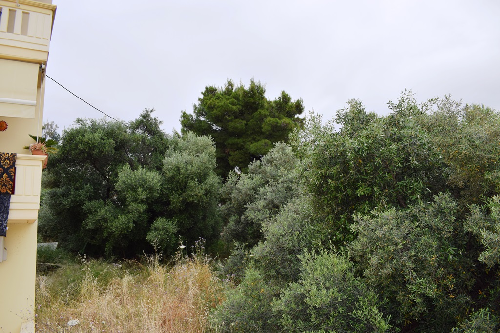 Земля в номе Ханья, Греция, 392 м² - фото 4