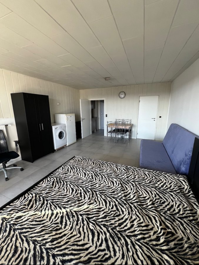 Квартира в Гревенмахере, Люксембург, 34 м² - фото 7