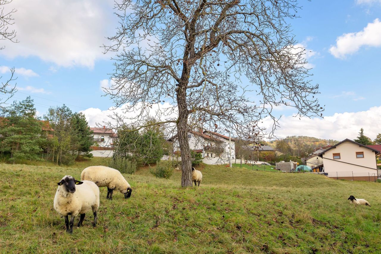 Дом в Пивке, Словения, 357 м² - фото 14