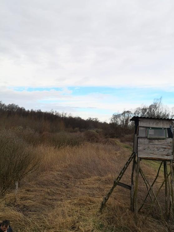 Земля Zalakomár, Венгрия, 291 645 м² - фото 2