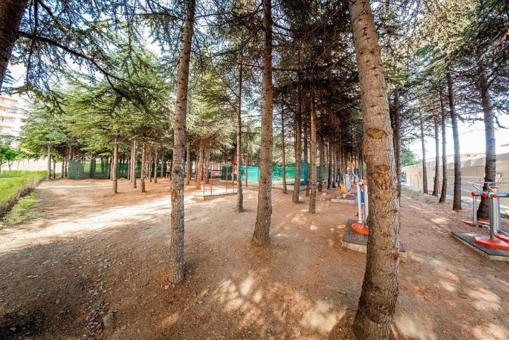 Квартира в Святом Власе, Болгария, 57 м² - фото 14