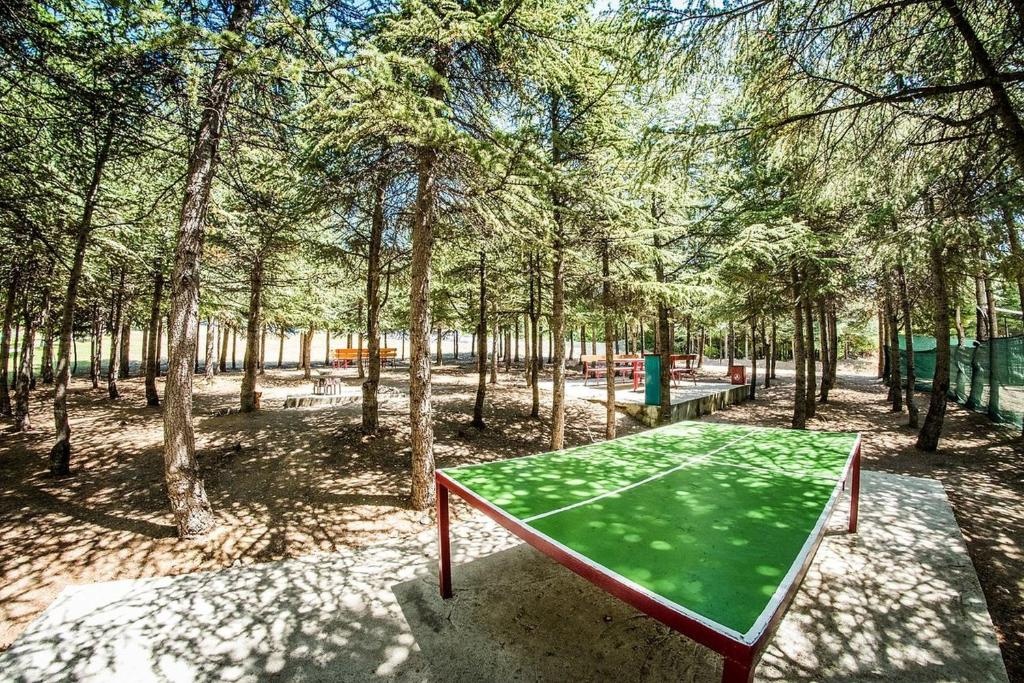 Квартира в Святом Власе, Болгария, 57 м² - фото 15