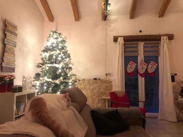 Дом Istria, Sveti lovrec, Хорватия, 360 м² - фото 1