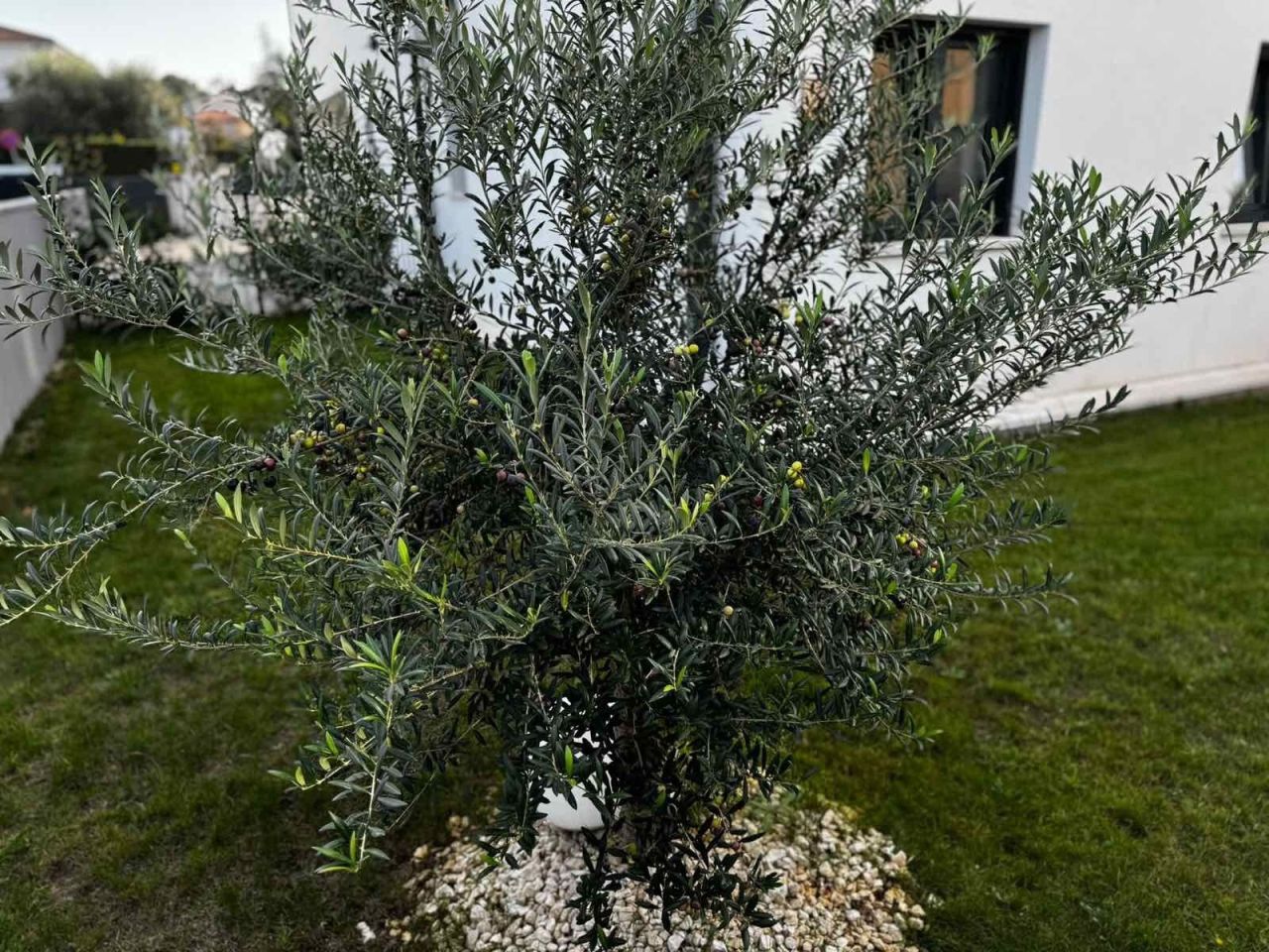 Квартира в Пуле, Хорватия, 102 м² - фото 14