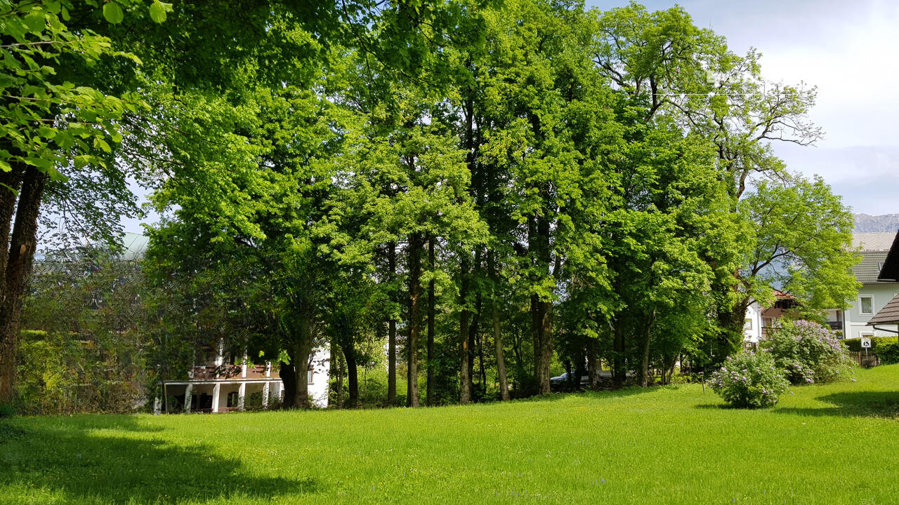 Дом в Бледе, Словения, 170 м² - фото 11