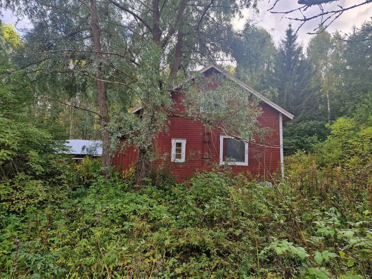 Коттедж в Кангасниеми, Финляндия, 50 м² - фото 3