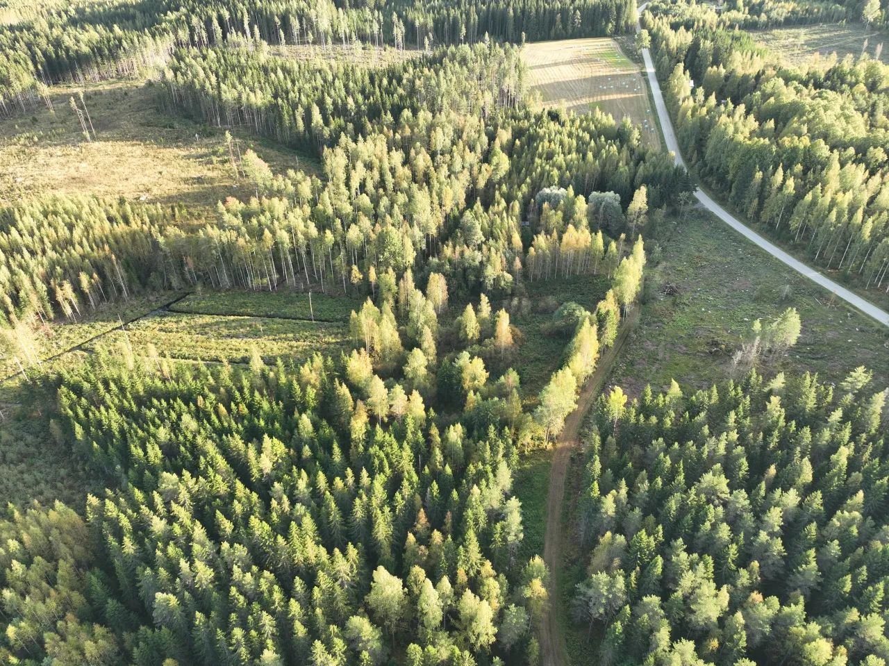 Коттедж в Кангасниеми, Финляндия, 50 м² - фото 2