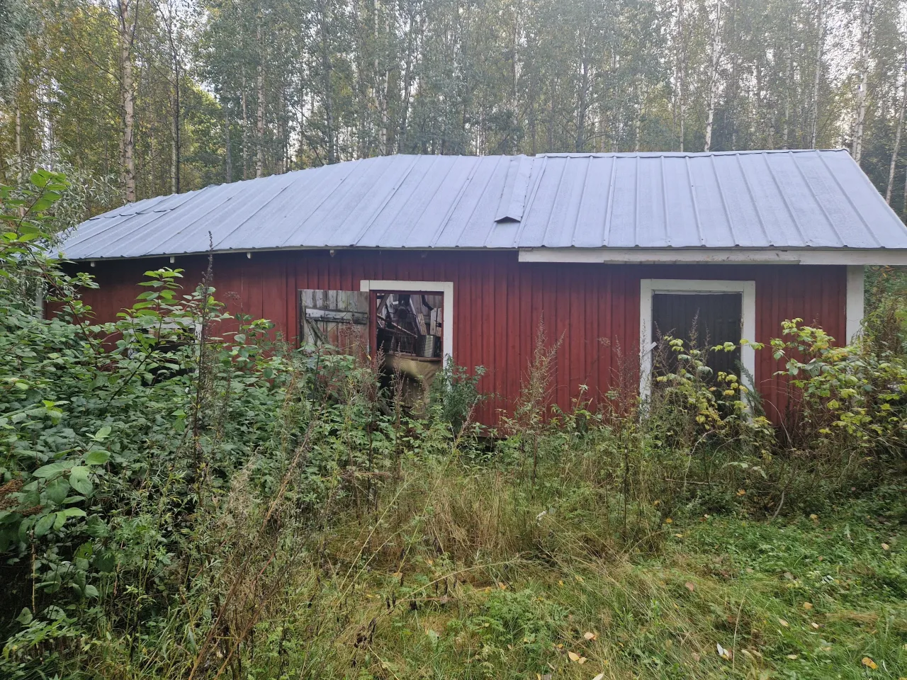 Коттедж в Кангасниеми, Финляндия, 50 м² - фото 5