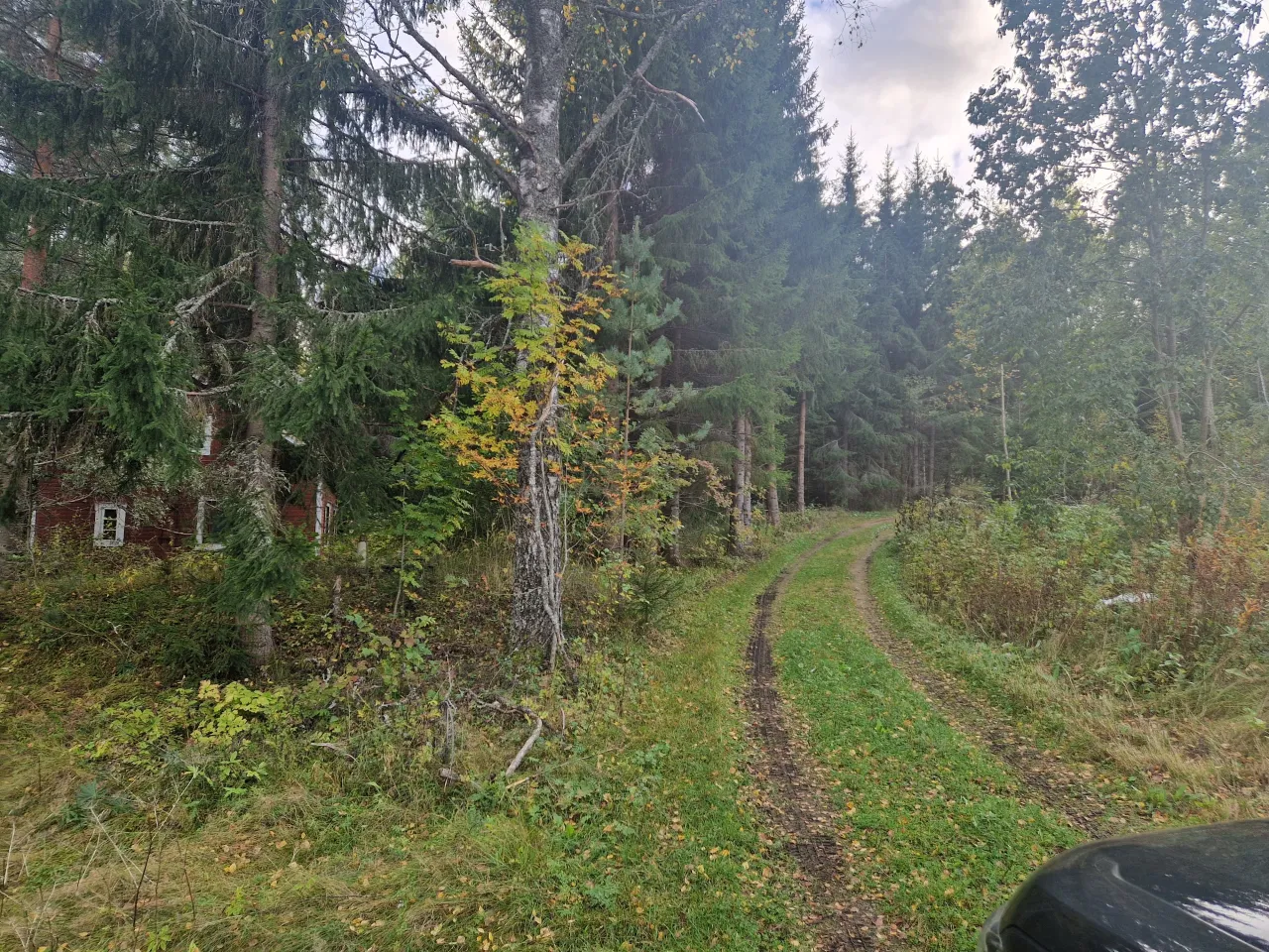 Коттедж в Кангасниеми, Финляндия, 50 м² - фото 7