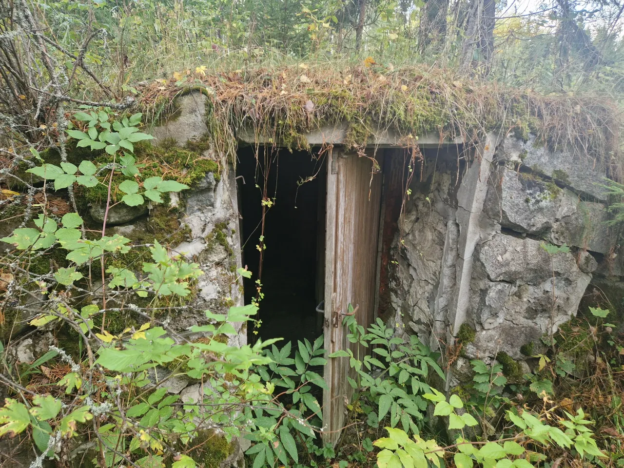 Коттедж в Кангасниеми, Финляндия, 50 м² - фото 9