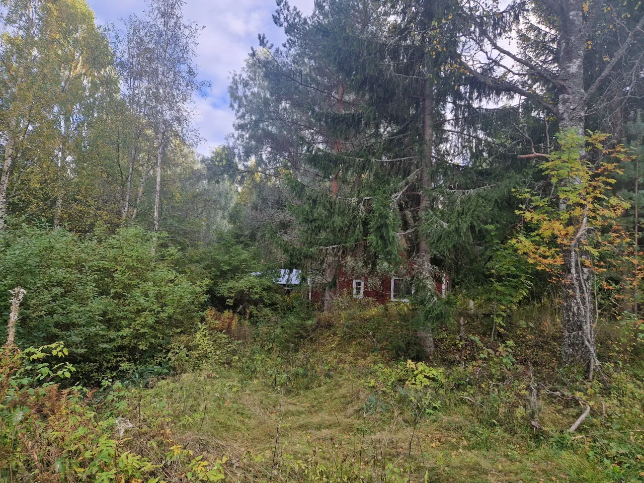 Коттедж в Кангасниеми, Финляндия, 50 м² - фото 4